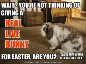 Do not give live animals for Easter.