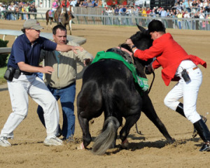 Cruelty at the race track.