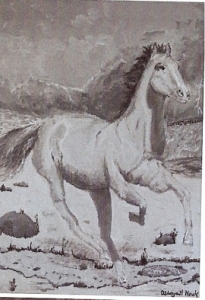 horse5