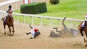 Horse suffers fall during horse race.