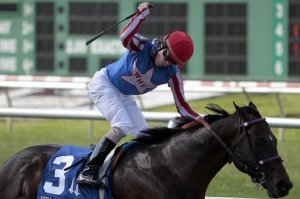 Horse whipped by jockey during race