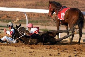 Horse down and injured on race track.