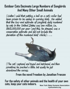 Infographic about harm outdoor cats do to songbirds and other small animals.