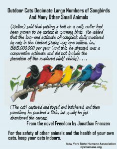 Infographic about harm outdoor cats do to songbirds and other small animals.