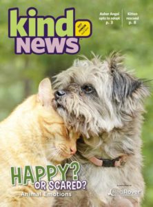 Red Rover's Kind News magazine