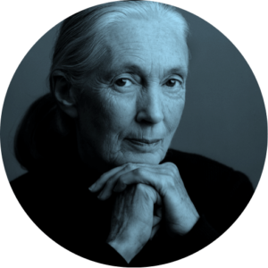 Jane Goodall