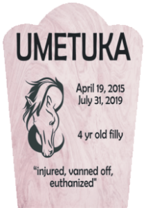 Umetuka Killed at Saratoga Race Course July 31, 2019