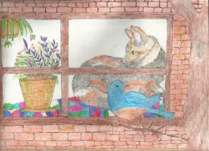 Cat inside observing bird through window