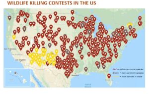 Chart-Wildlife-Killing-Contests-in-US
