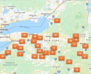 Wildlife Killing Contests in New York State