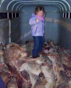 Child standing on slaughtered coyotes