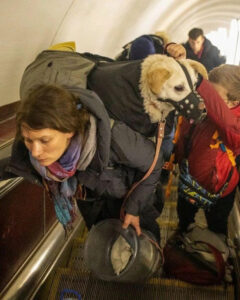 Ukraine refugees with their dog.