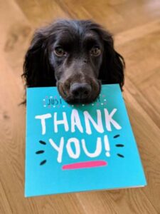 Image of dog holding Thank You card.